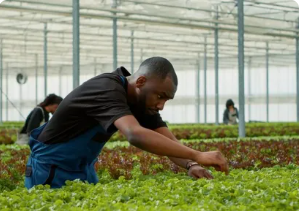 Agribusiness Entrepreneurship